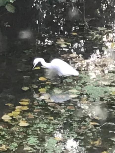 Reveil Aux Chants Des Oiseaux Asse-le-Riboul Zewnętrze zdjęcie