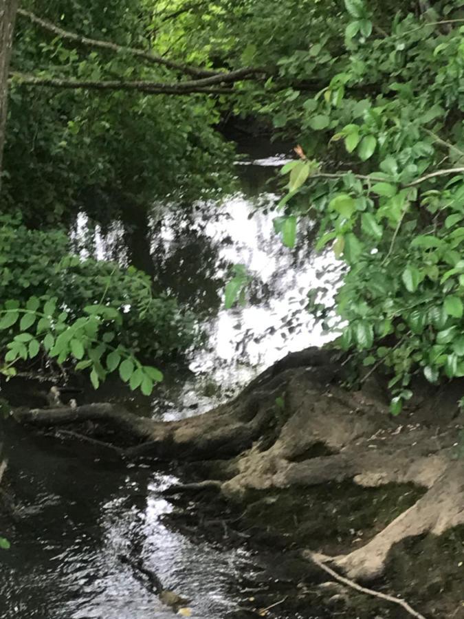 Reveil Aux Chants Des Oiseaux Asse-le-Riboul Zewnętrze zdjęcie