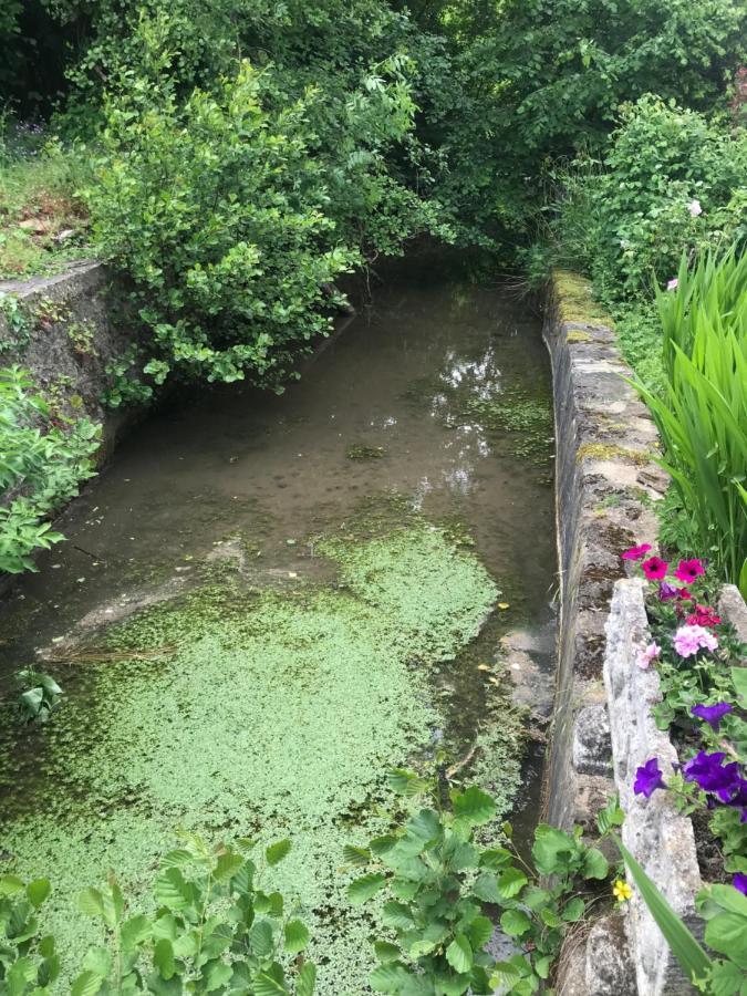 Reveil Aux Chants Des Oiseaux Asse-le-Riboul Zewnętrze zdjęcie